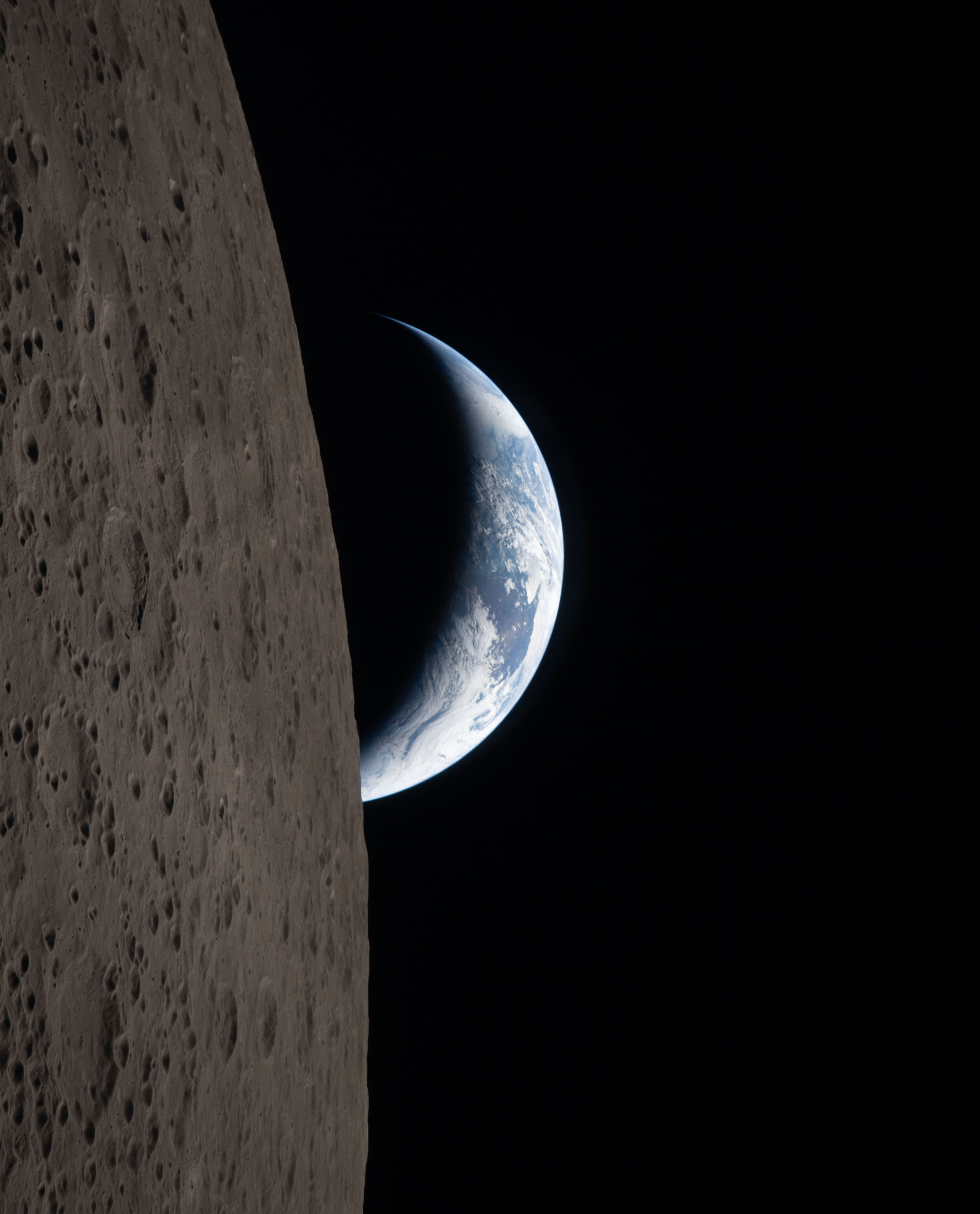 Balandis – iš įdomesnio taško